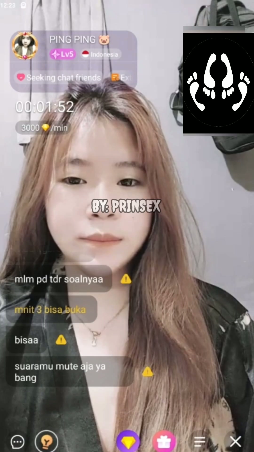 Vcs Ping Ping apk Chamet